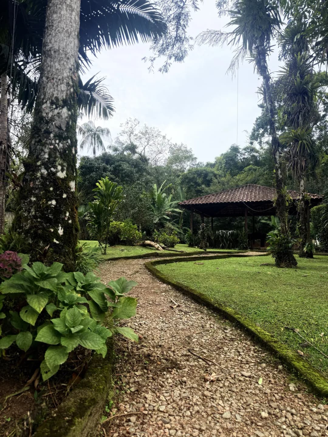 Casa Graciosa — foto 45